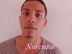 Noren_tor