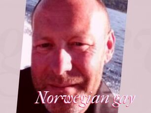Norwegian_gay