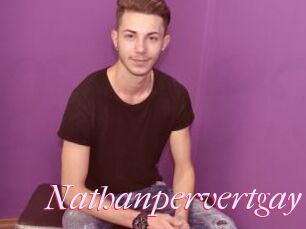 Nathanpervertgay