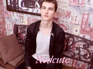 Nedcute