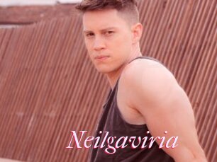 Neilgaviria