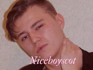 Niceboyscot