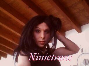 Ninietrans