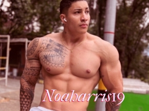Noaharris19