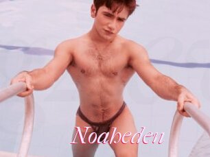Noaheden