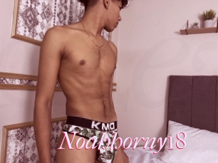 Noahhorny18