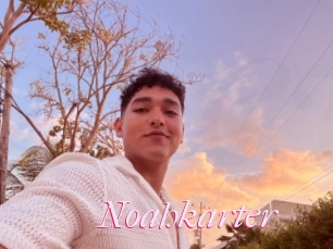 Noahkarter