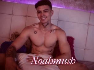 Noahmush