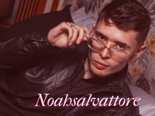Noahsalvattore
