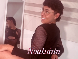 Noahsinn