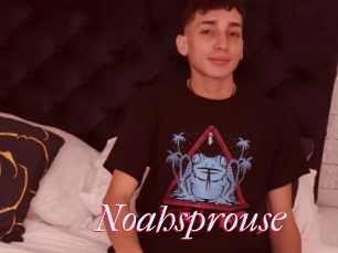 Noahsprouse