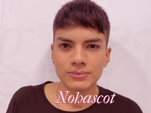 Nohascot