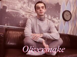 Oliversnake
