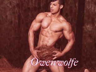 Owenwolfe