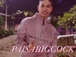 PAISABIGCOCK