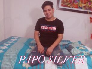 PAPO_SILVER