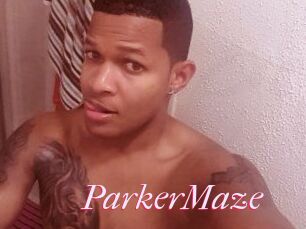 Parker_Maze