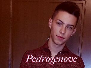 Pedrogenove