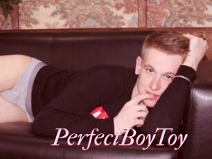 PerfectBoyToy