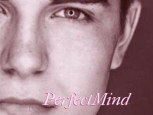 PerfectMind