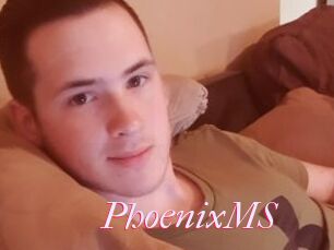 PhoenixMS