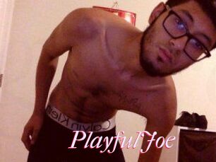 PlayfulJoe