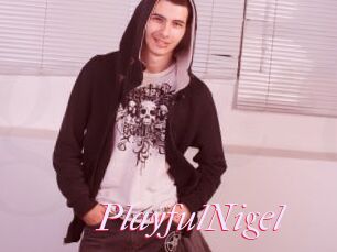 PlayfulNigel