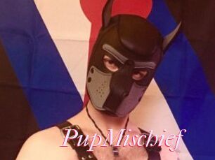PupMischief