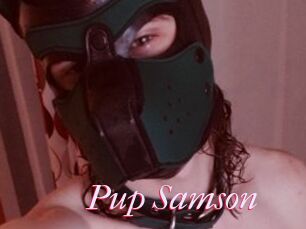 Pup_Samson