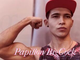 Papillon_BigCock