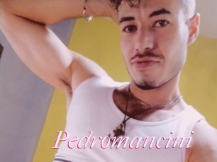 Pedromancini
