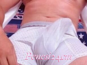 Penesi24cm