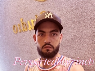 Pervertedboy7inch