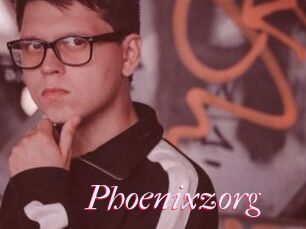 Phoenixzorg