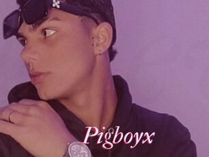 Pigboyx