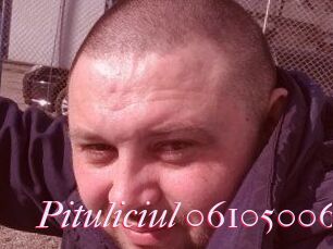 Pituliciul-06105006