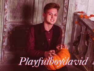 Playfulboydavid