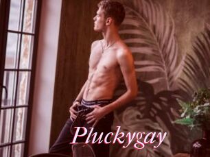 Pluckygay