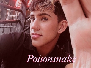 Poisonsnake