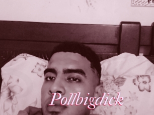 Pollbigdick