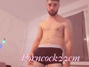 Porncock22cm