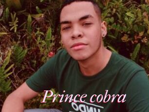 Prince_cobra