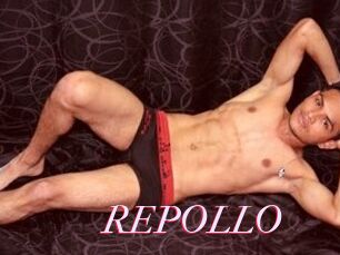 REPOLLO