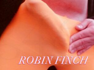 ROBIN_FINCH