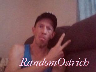 RandomOstrich