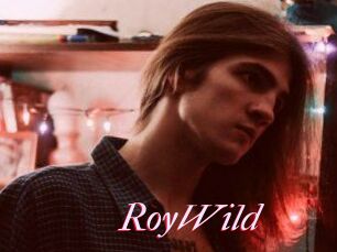 RoyWild