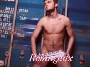 Robingudx