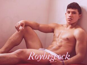 Roybigcock