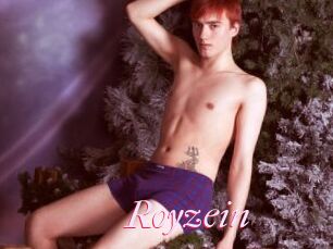 Royzein