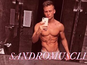SANDRO_MUSCLE